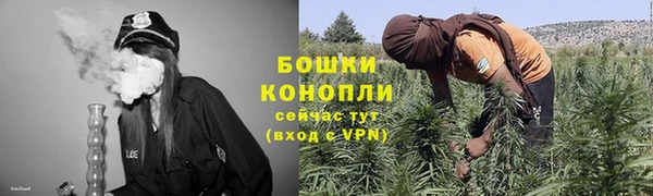 PSILOCYBIN Абдулино