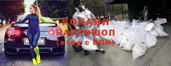 стаф Алексин