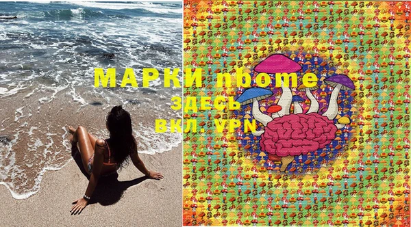 гидропоника Алзамай
