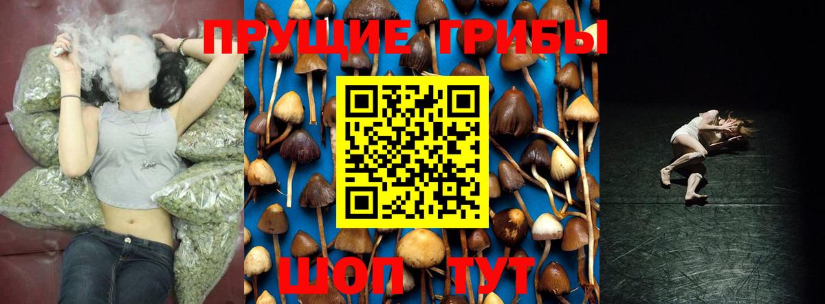Псилоцибиновые грибы ЛСД  Вход с VPN  Тейково  Галлюциногенные грибы ЛСД 